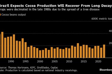 ADIPEC Exhibition & Conference | Energy Industry News | Cocoa Farming Lures New Money as Brazil Is Set to Revive Exports