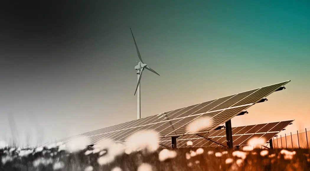 image is BloomburgMedia_QZXOLFDWLU6V01_24-09-2021_11-45-34_637680384000000000.jpg