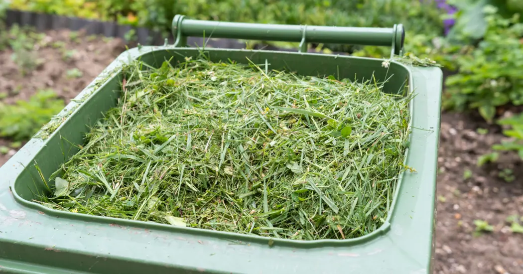 image is Waste To Green