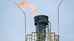 Rwanda Pushes Ahead Plan to Sell Singapore Carbon Credits BloomburgMedia_T1NGP0GP493P00_28-08-2025_08-00-26_638919360000000000.jpg