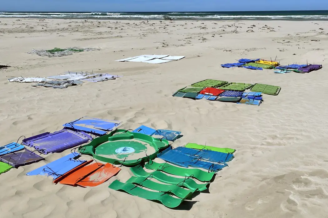 image is BloomburgMedia_SMAL4OT1UM0W00_03-11-2024_15-00-06_638661888000000000.jpg