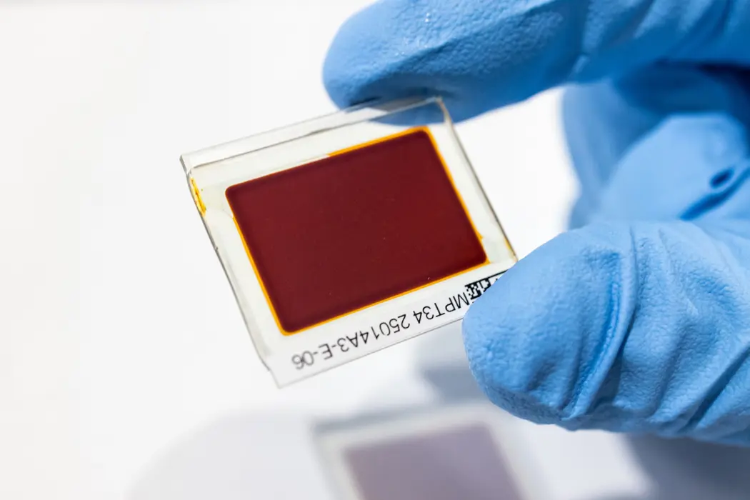 image is BloomburgMedia_SV682WDWRGG100_26-04-2025_09-00-11_638812224000000000.jpg