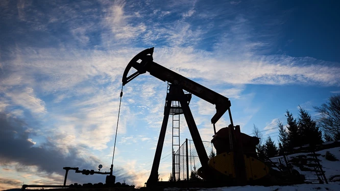 Sertecpet Case Study Sertecpet Case Study