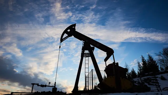 Sertecpet Case Study