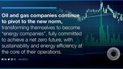New market outlooks, pricing forecasts and new supply and demand dynamics