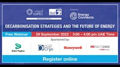 Decarbonisation strategies and the future of energy