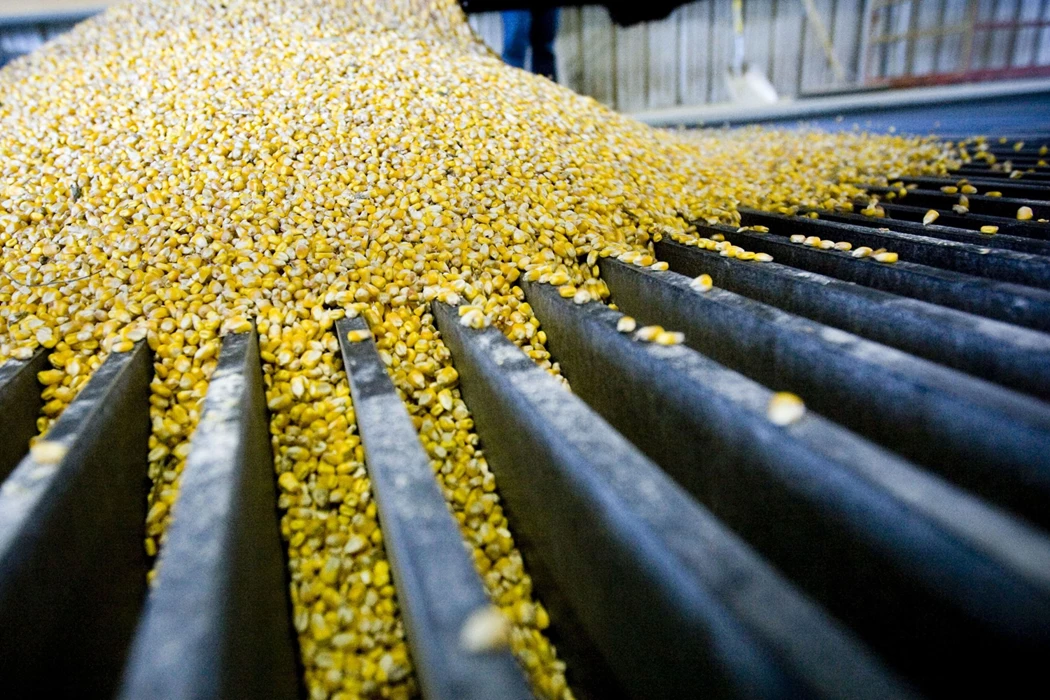 image is BloomburgMedia_QSEG24DWLU6L01_17-05-2021_11-30-35_637568064000000000.jpg image is BloomburgMedia_QSEG24DWLU6L01_17-05-2021_11-30-35_637568064000000000.jpg