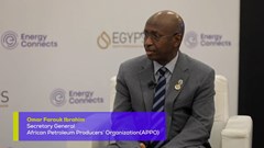 EGYPS 2022: APPO chief outlines energy transition headwinds in Africa-1389080290