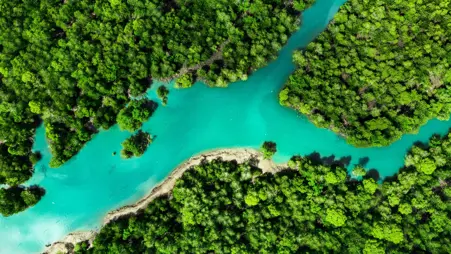 ADIPEC Webinar Website Banner