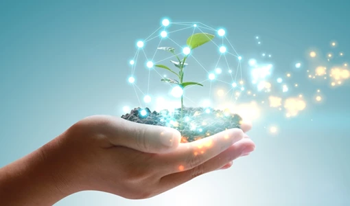 COP27: EAD and Department of Energy lead a paradigm shift in Abu Dhabi's energy mix to reduce emissions clean-energy-web-15669