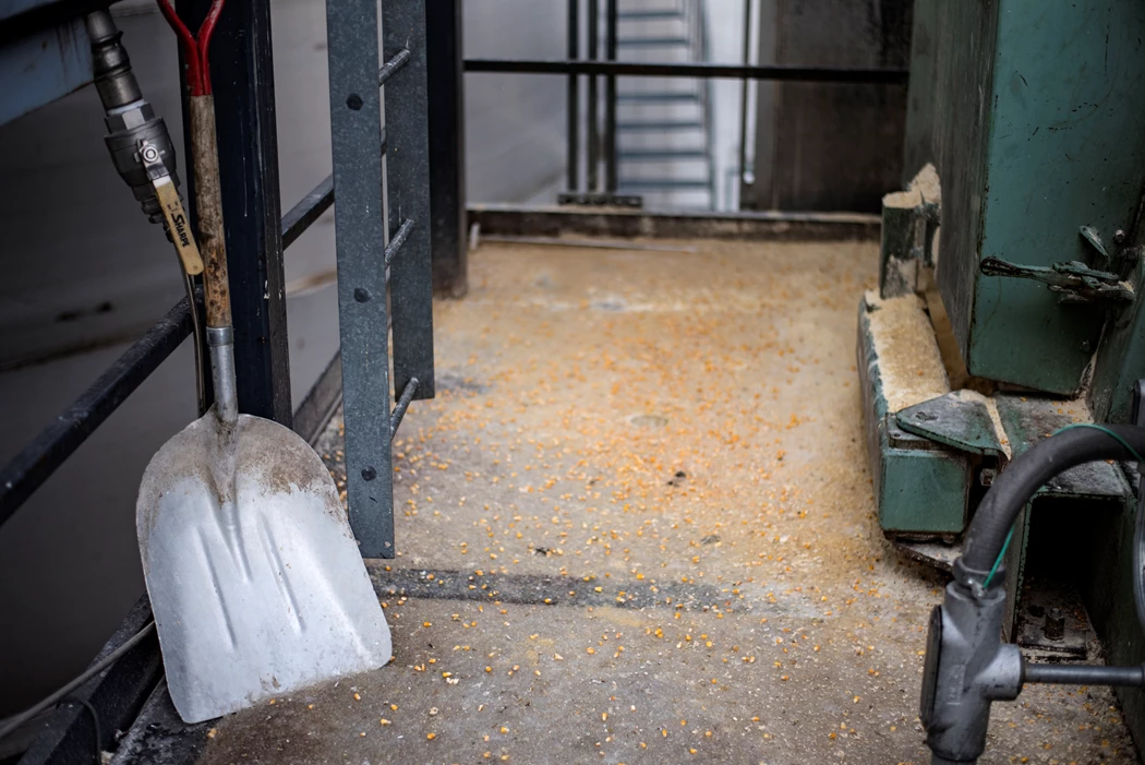 image is BloomburgMedia_SXG3D0T1UM0W00_13-06-2025_05-18-29_638853696000000000.jpg image is BloomburgMedia_SXG3D0T1UM0W00_13-06-2025_05-18-29_638853696000000000.jpg