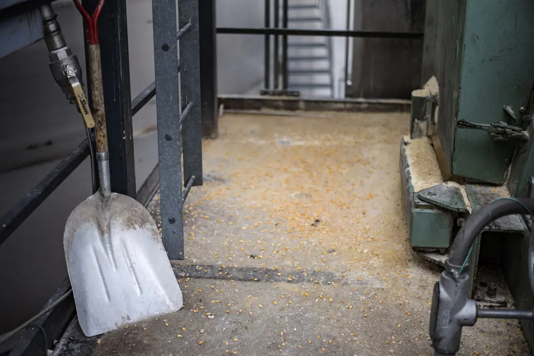 image is BloomburgMedia_SXG3D0T1UM0W00_13-06-2025_05-18-29_638853696000000000.jpg