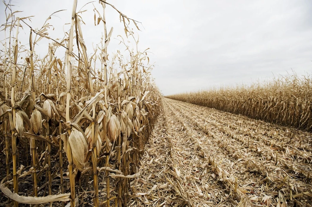 image is BloomburgMedia_SLCLE9DWRGG000_28-10-2024_08-00-11_638656704000000000.jpg image is BloomburgMedia_SLCLE9DWRGG000_28-10-2024_08-00-11_638656704000000000.jpg