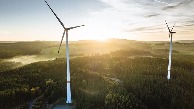 DLO Case Study DLO Case Study