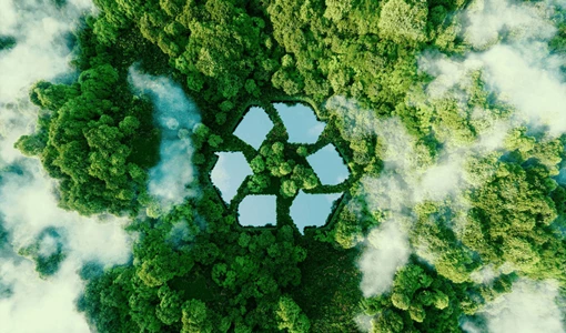 McKinsey highlights window of opportunity to revisit decarbonisation plans Decarbonising power with clean ammonia The South Korea case-study.jpg
