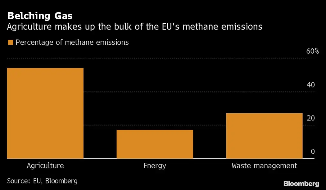image is BloomburgMedia_RJC5O9T1UM0Y01_06-10-2022_20-00-16_638006112000000000.png