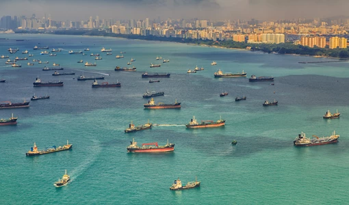 Singapore’s EU ETS liabilities of €330 million can accelerate green shipping initiatives, says OceanScore Singapore Shipping Shutterstock