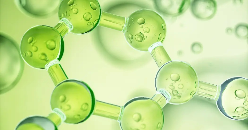 image is Shutterstock 2414260647