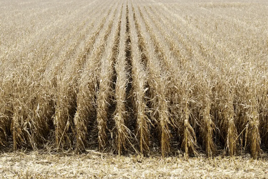 image is BloomburgMedia_SBVW84T0G1KW00_14-04-2024_09-00-08_638486496000000000.jpg