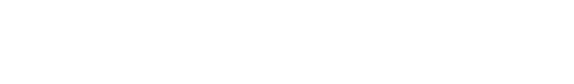 Akzonobel White Logo