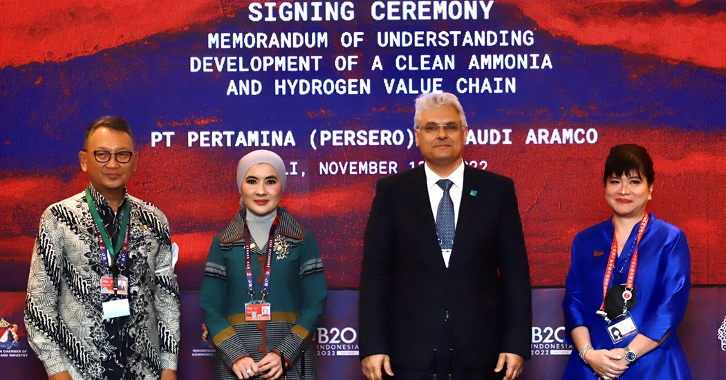 image is Aramco Petramine B20 Bali image is Aramco Petramine B20 Bali