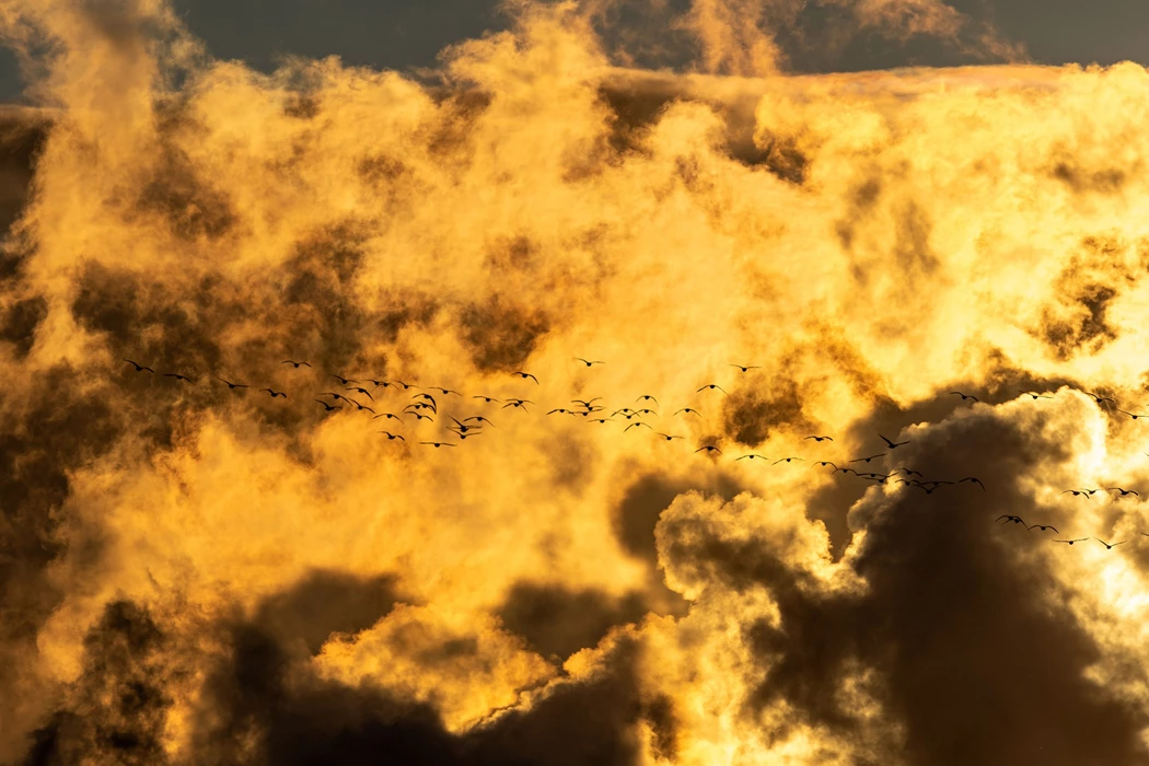 image is BloomburgMedia_S4RN85DWRGG001_12-10-2024_09-00-09_638642880000000000.jpg image is BloomburgMedia_S4RN85DWRGG001_12-10-2024_09-00-09_638642880000000000.jpg