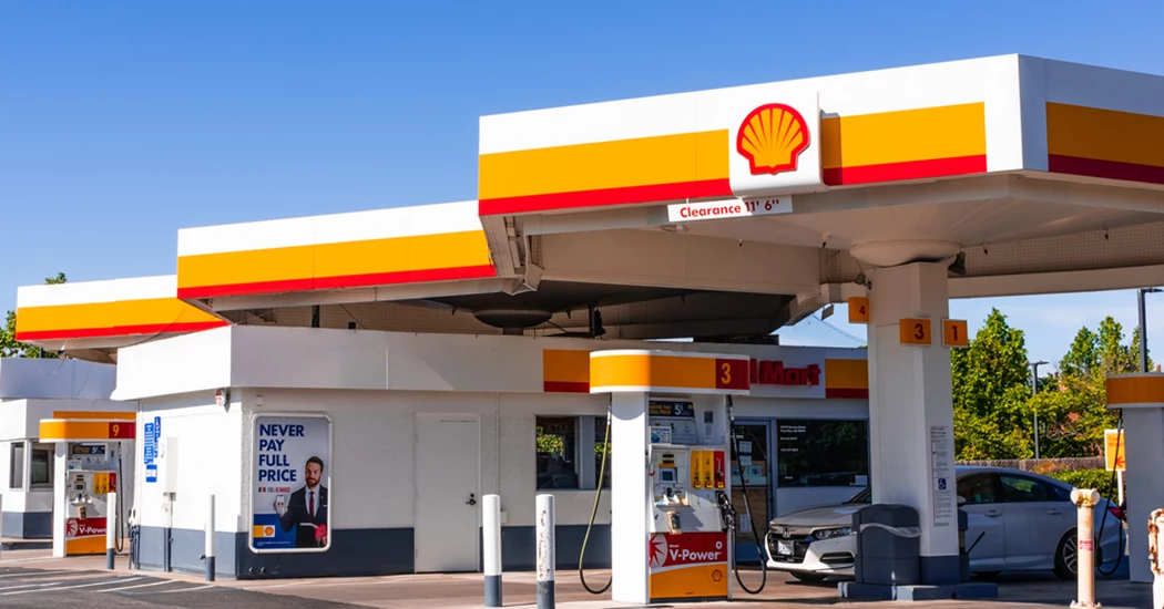 image is Shell Results image is Shell Results