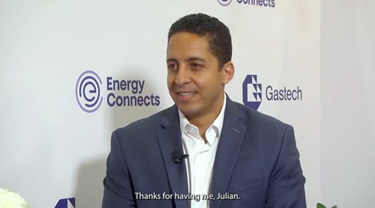 Sapphire Technologies CEO sees increased opportunities in climate tech-1726971972