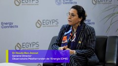 Egyps 2022: The pathway to COP27 for Egypt-1386817420