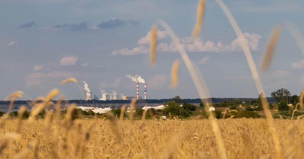 image is Decarbonisation image is Decarbonisation