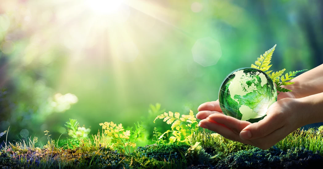 image is COP28 GENERIC image is COP28 GENERIC