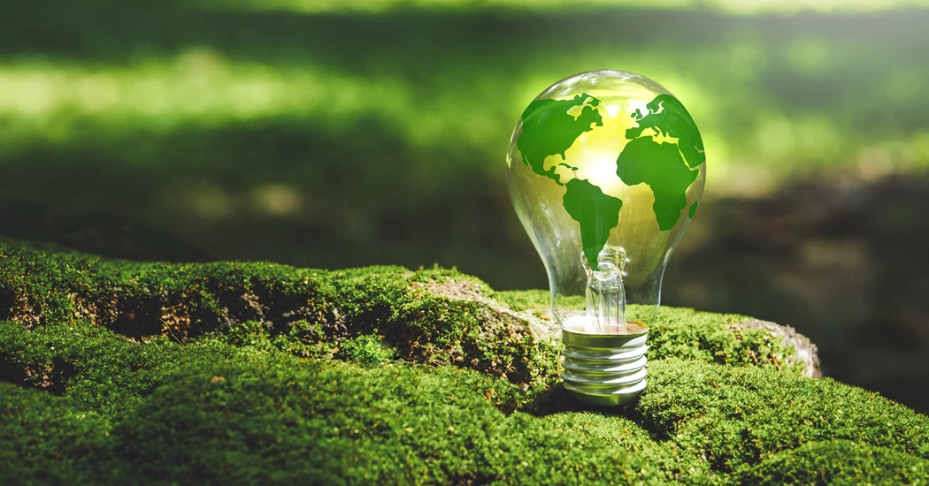 image is Shutterstock 2409522209 image is Shutterstock 2409522209