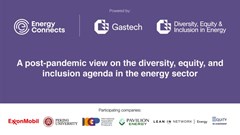 A post-pandemic view on diversity, equity and inclusion agenda in the energy sector