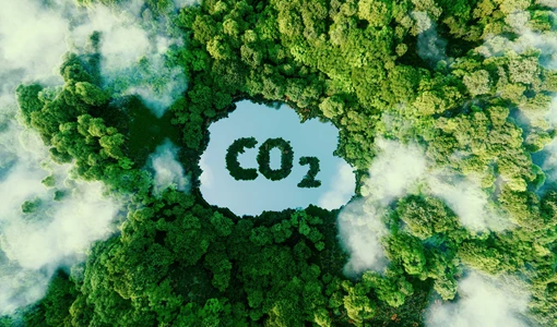 What if Africa was the solution to the world’s net zero? Steve Hill Net Zero