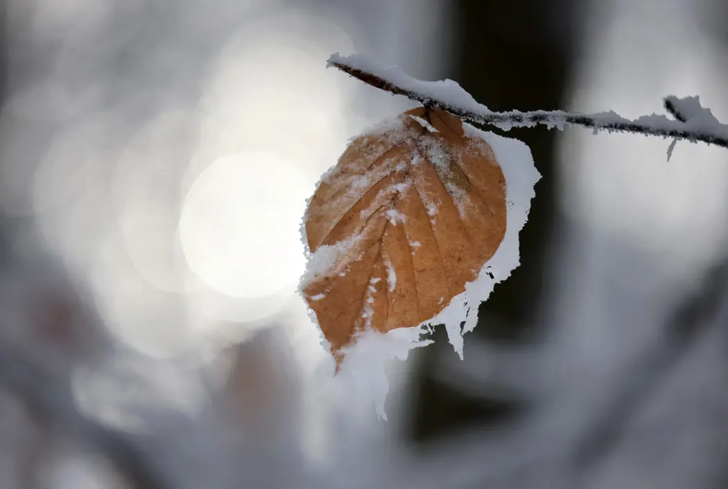 image is BloomburgMedia_T3T3Z6GOT0JP00_13-10-2025_08-00-25_638959104000000000.jpg