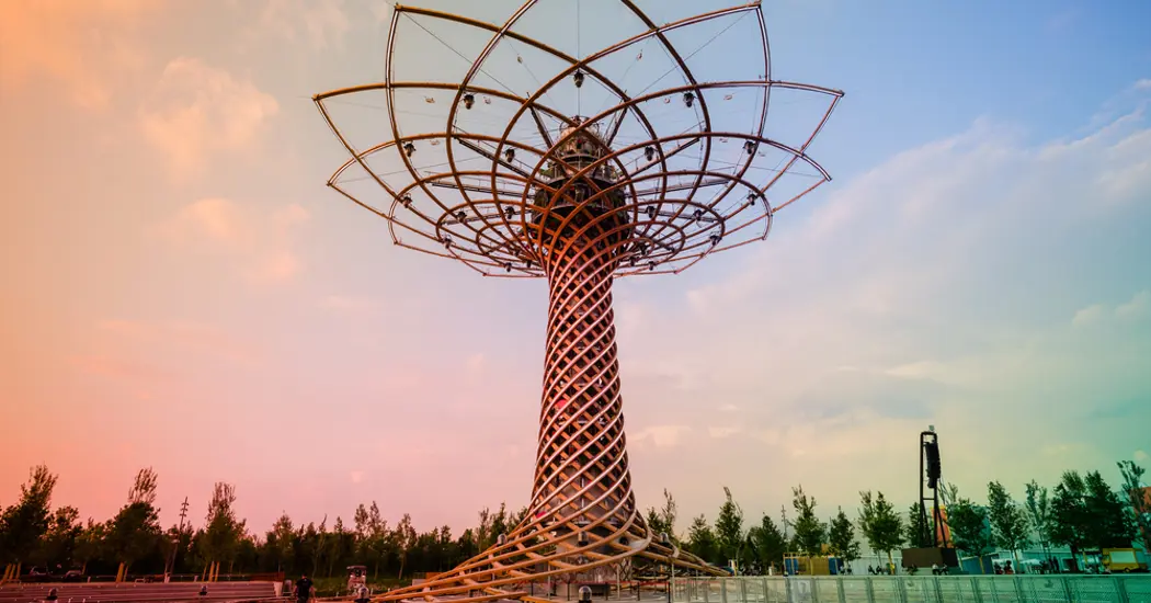 image is Tree Of Life