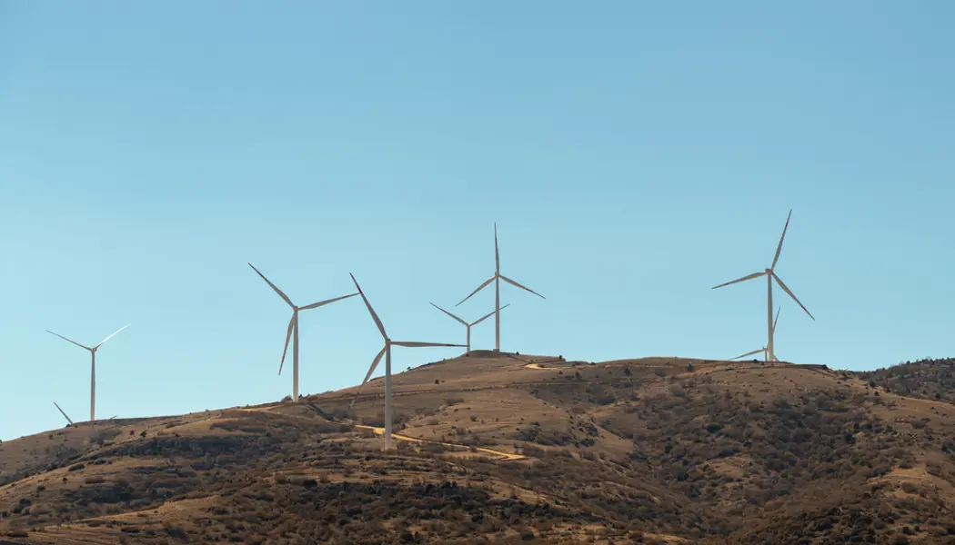 Shutterstock 1931663966