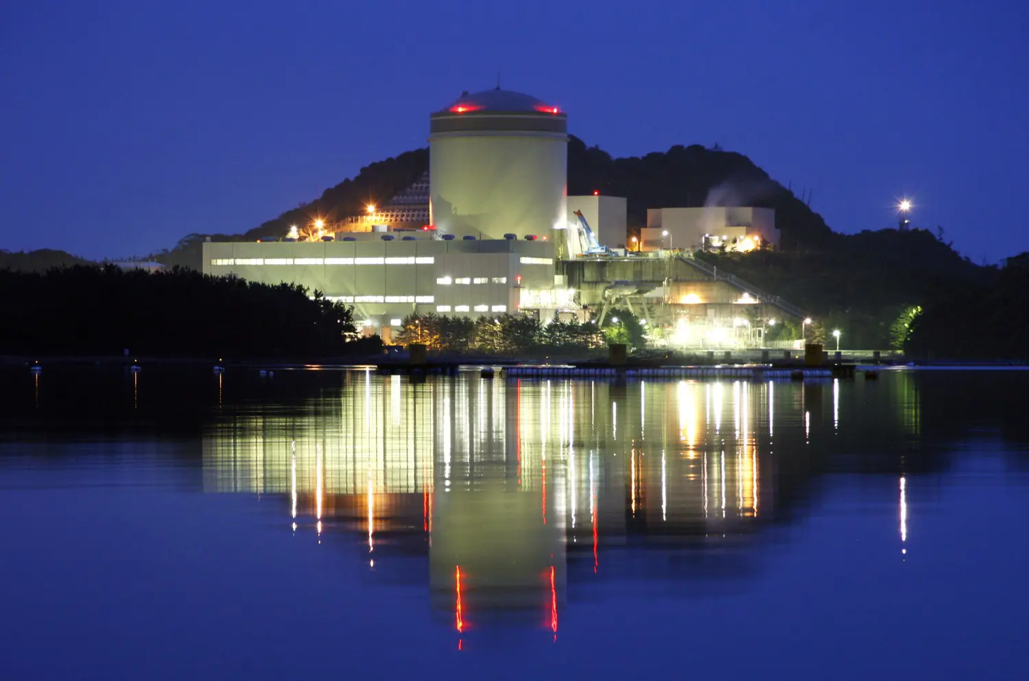 Japanese Utility to Shut Nuclear Reactor to Fix Pipeline