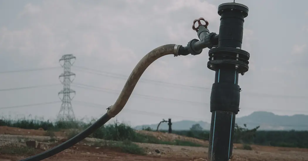 image is Shutterstock 1917290174 (1)