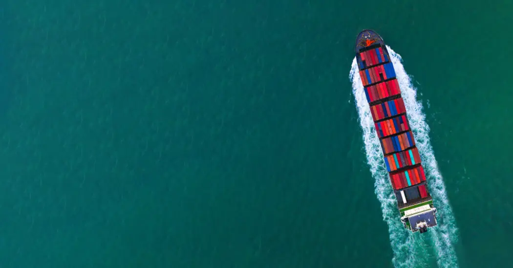 image is biomass fuel