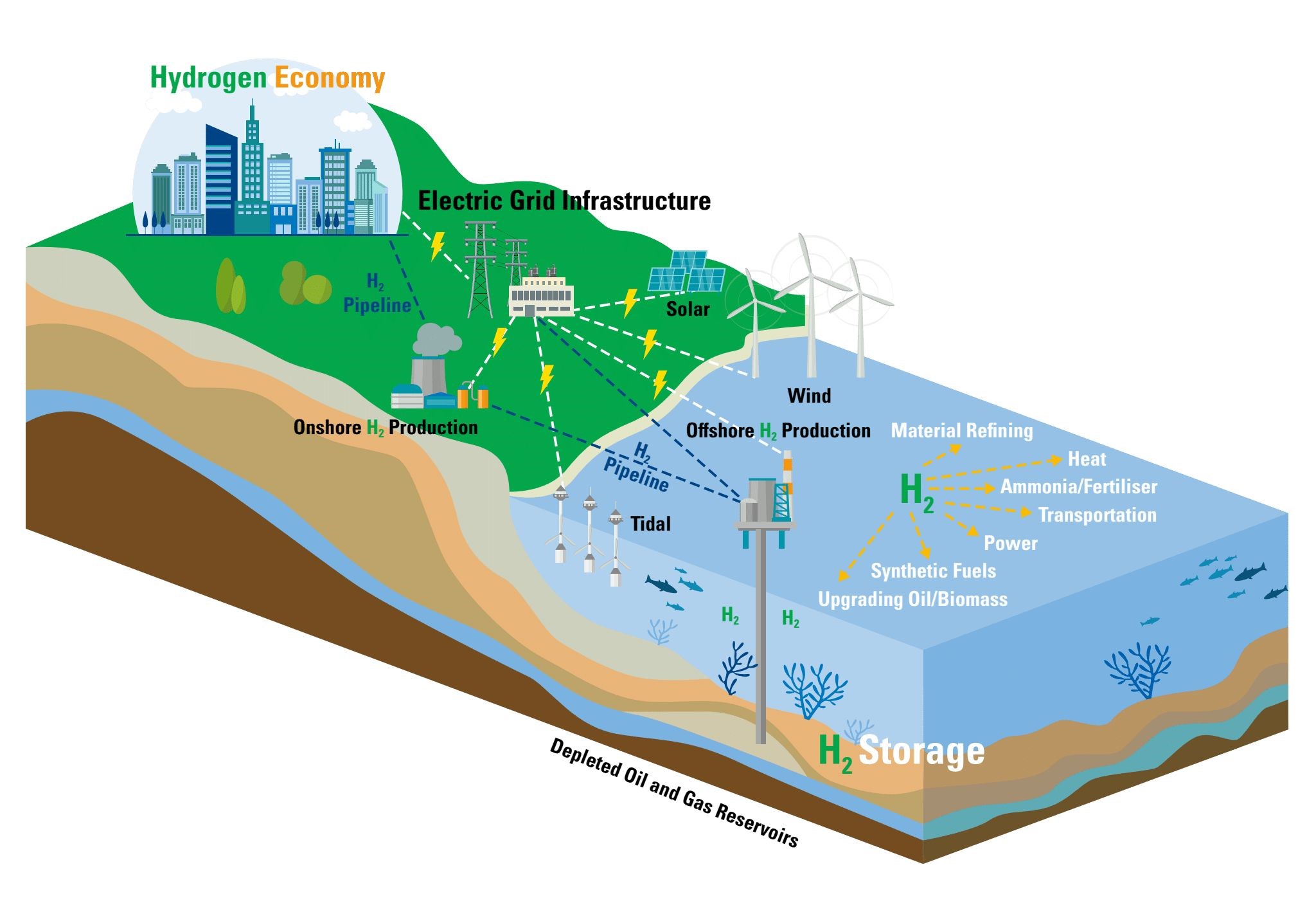 Hydrogen Economy