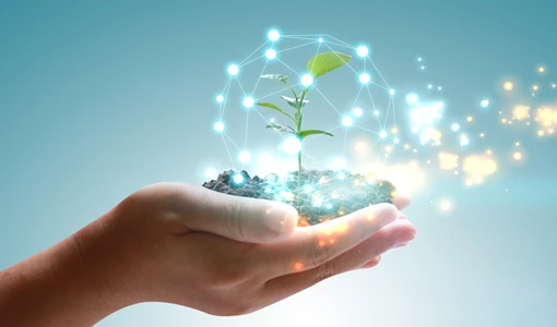 Middle East could play a key role in decarbonising global economy, says WoodMac EC Clean Energy
