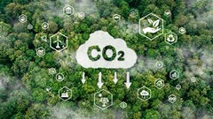 Implementing Low Carbon Strategies In The Race To Net Zero