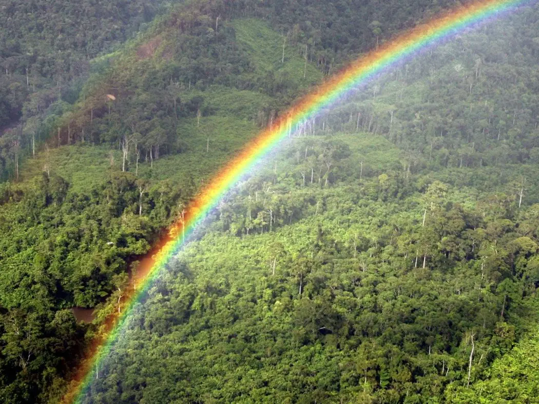 image is BloomburgMedia_QTDZLVT0AFBA01_21-05-2021_10-30-35_637571520000000000.jpg