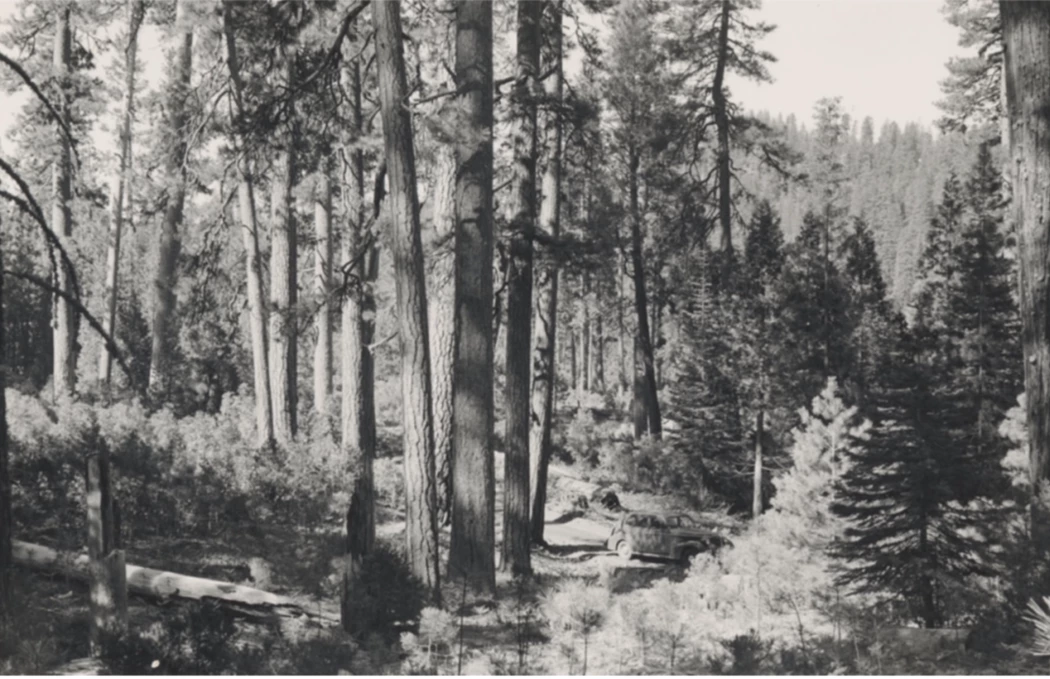 image is BloomburgMedia_R6QC4ET0G1LE01_03-02-2022_19-00-05_637794432000000000.png image is BloomburgMedia_R6QC4ET0G1LE01_03-02-2022_19-00-05_637794432000000000.png