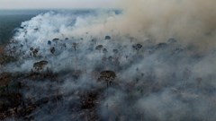 Global Forest Loss Tops Record as Wildfires Drive Destruction BloomburgMedia_SWLF61DWLU6800_26-05-2025_08-00-27_638838144000000000.jpg