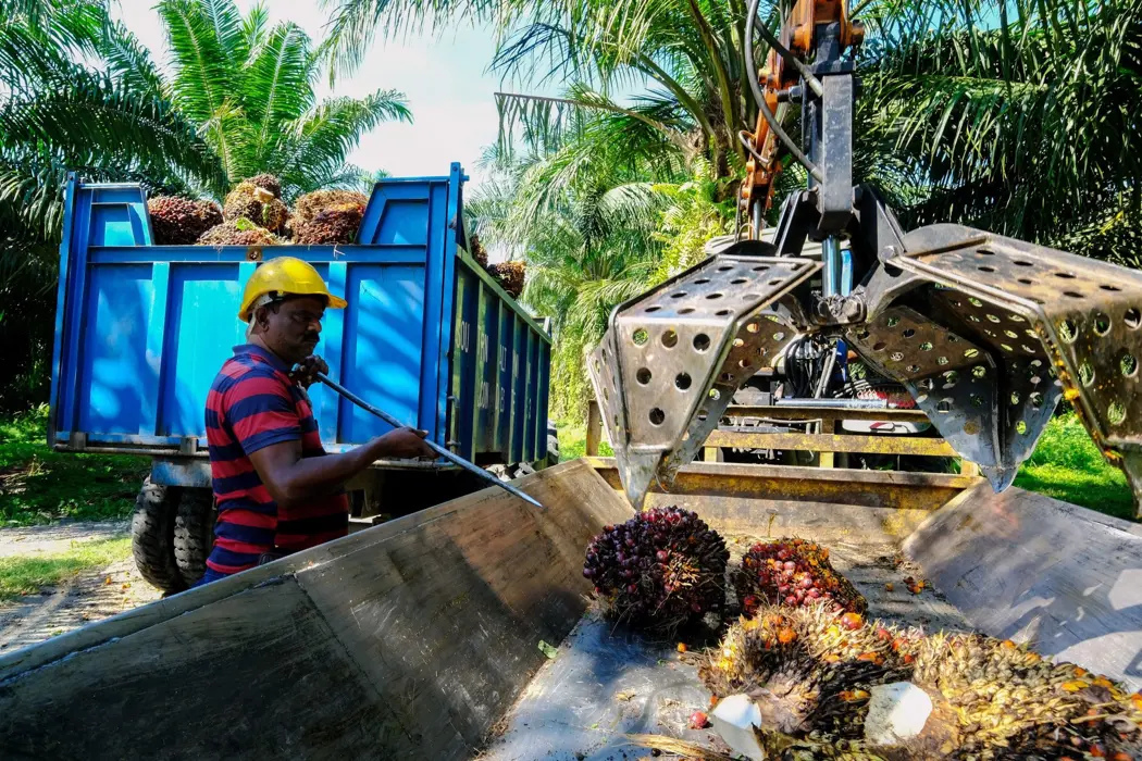 image is BloomburgMedia_R2WWHNDWX2PT01_22-11-2021_08-00-02_637731360000000000.jpg