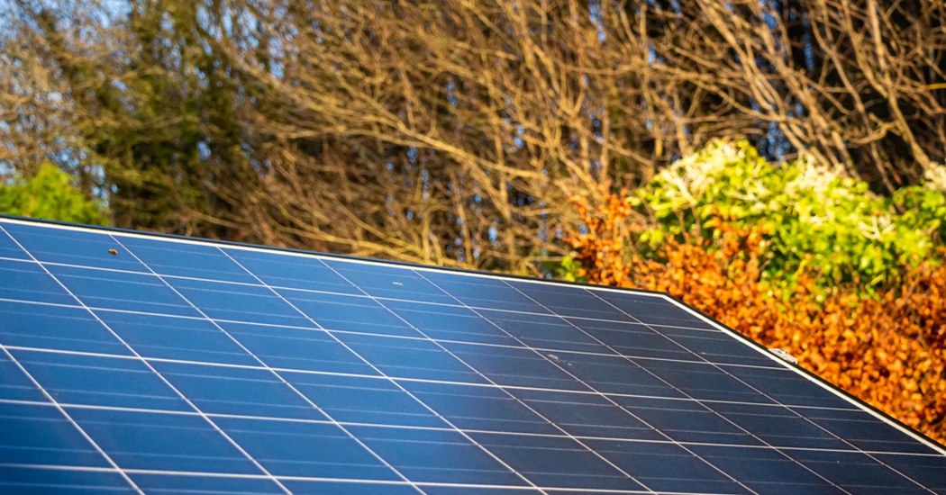 image is Low Carbon image is Low Carbon