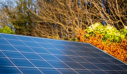 Rystad: low carbon markets to flourish but hydrogen faces reality check in 2025 Low Carbon