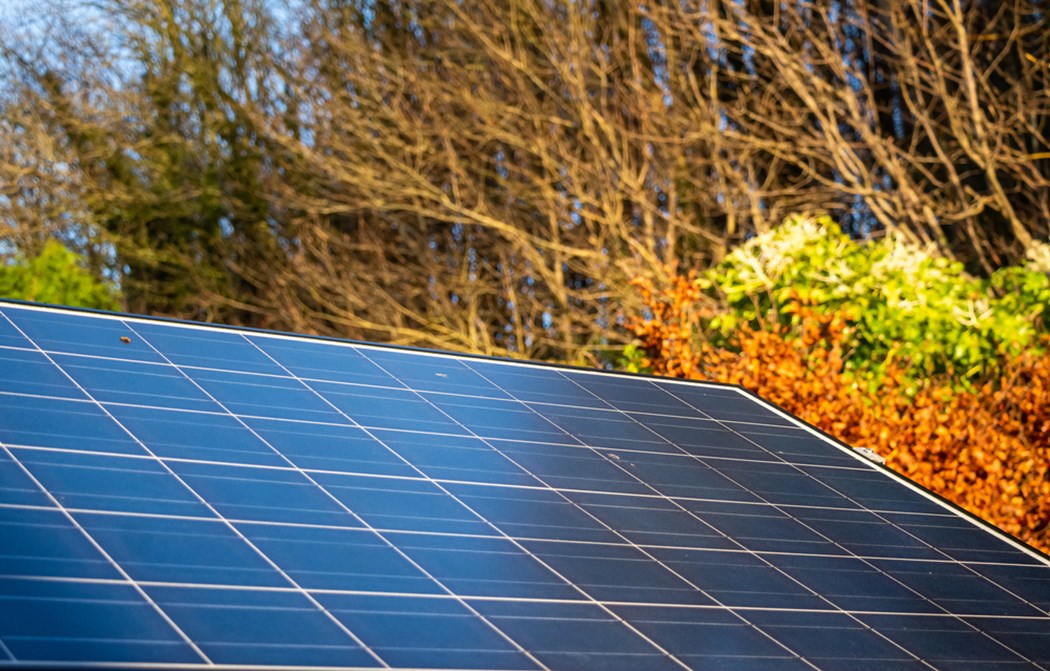 image is Low Carbon